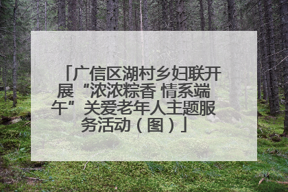 广信区湖村乡妇联开展“浓浓粽香 情系端午”关爱老年人主题服务活动（图）
